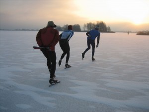 mensen die onlineschaatsen